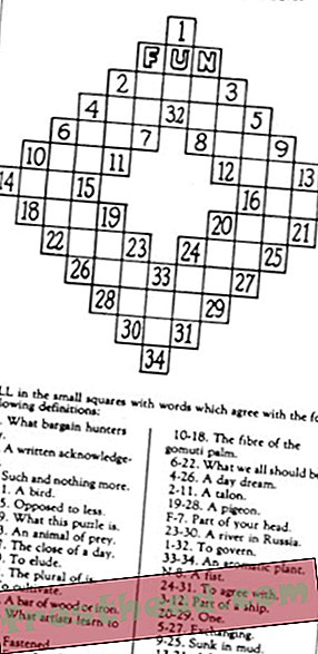 Was ist ein 9-Buchstaben-Wort für ein 100 Jahre altes Puzzle?