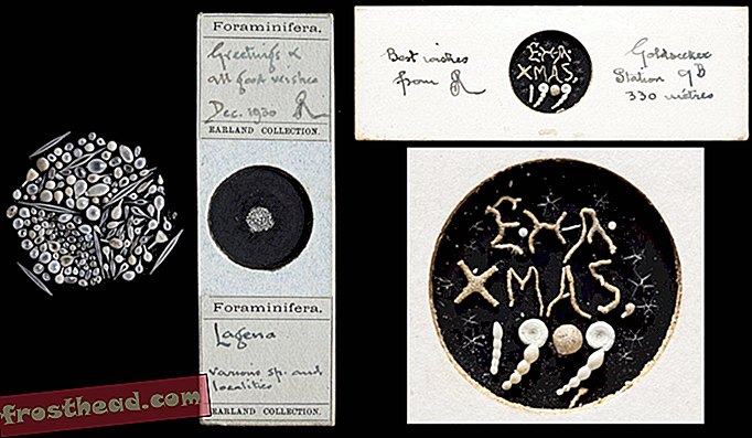 Diapositives de cartes de Noël en microfossiles d'Arthur Earland et Edward Heron-Allen de 1930 à 1909