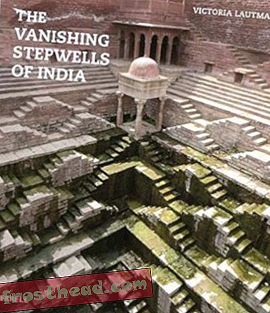 Preview thumbnail for video 'The Vanishing Stepwells of India