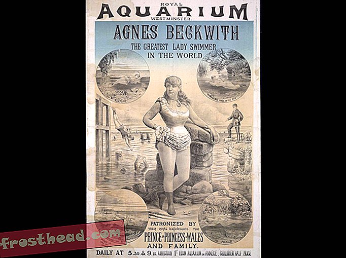 Königliches Aquarium, Westminster. Agnes Beckwith, c. 1885