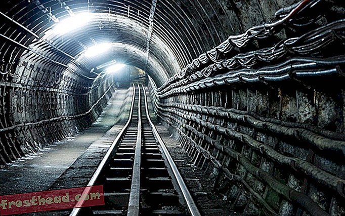 Des tunnels secrets sous Londres, autrefois utilisés pour dissimuler de l'art durant la Première Guerre mondiale, ouverts au public pour la première fois
