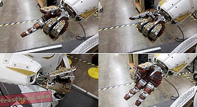 Erityyppiset kädet NASA Valkyrie -robotissa.