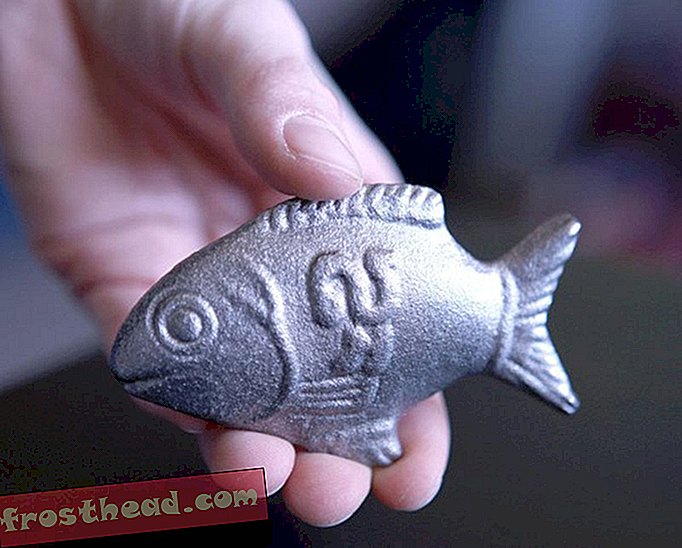 artikelen, innovatie, gezondheid en geneeskunde, technologie - Deze "Lucky" Fish kan levens redden