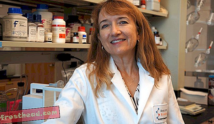 Laura Bohn u svojoj laboratoriji na Institutu za istraživanje Scrippsa.