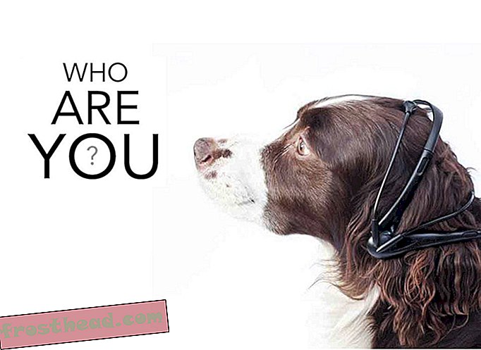 Vérification de la demande: cet appareil permettrait aux chiens de parler comme des humains