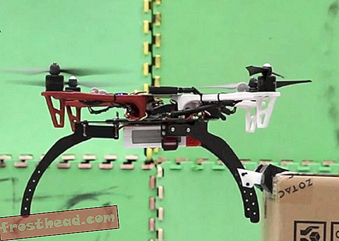 Acești droni pot perca și se pot balta ca păsările și liliecii