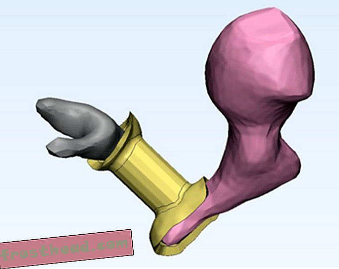 artykuły, innowacje, zdrowie i medycyna - Lekarze drukują kości ucha w 3D, aby pomóc w utracie słuchu
