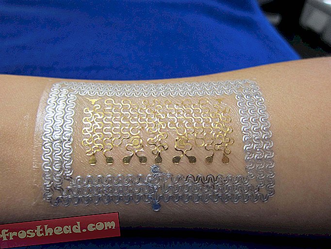 articulos, innovacion, salud y medicina - Pequeños accesorios para tatuar podrían controlar su salud