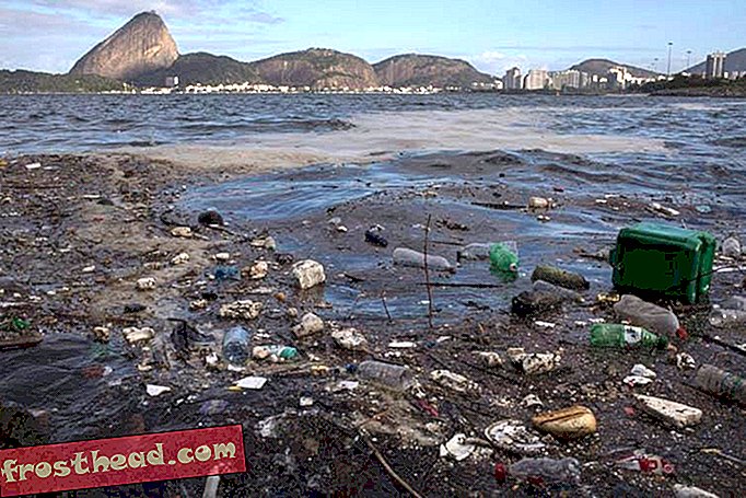 Sampah terapung di Teluk Guanabara di Rio de Janeiro pada bulan Ogos 2017.
