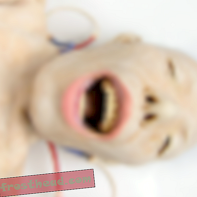 Les étudiants de l'école de médecine peuvent jouer à «l'opération» avec ces cadavres synthétiques