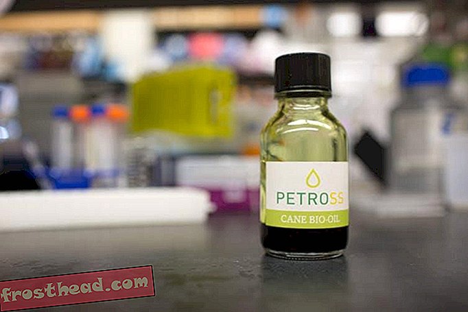 Láhev oleje vyrobená z PETROSS lipidcane