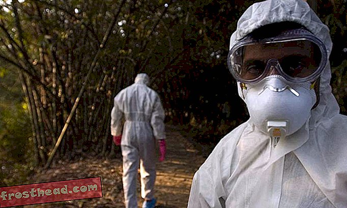 Pandemi yang Ditakuti Semua Orang Adalah Flu Di Tempat yang Salah Pada Saat Yang Salah