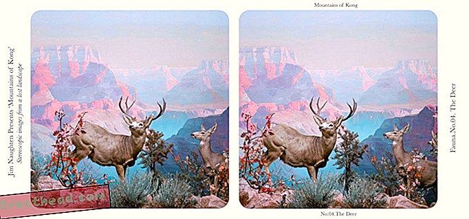 Satu stereograf yang dipanggil "The Deer"