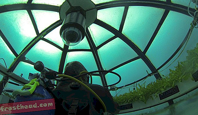Au large de l'Italie, deux plongeurs construisent des serres sous-marines