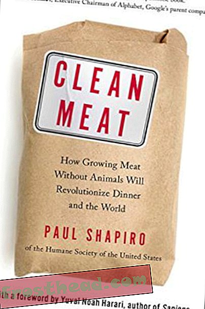 Preview thumbnail for 'Clean Meat: How Growing Meat Without Animals Will Revolutionize Dinner and the World