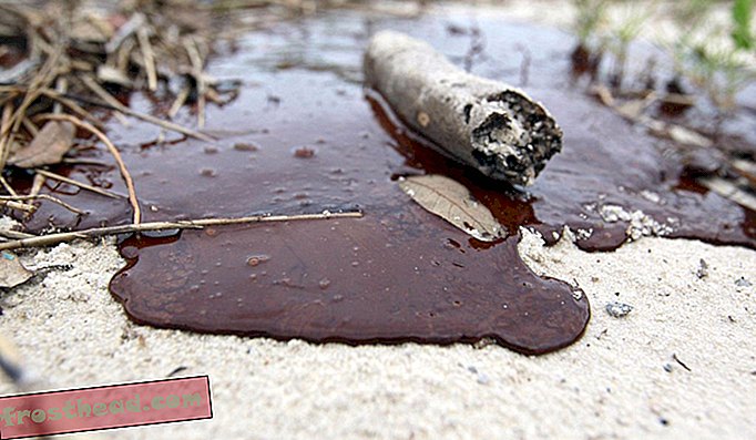 Öljy pestiin rannalla BP: n Deepwater Horizon -öljyvuodosta vuonna 2010.
