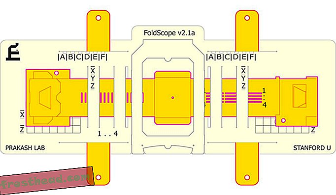 foldscope monteret stand-1-working.jpg