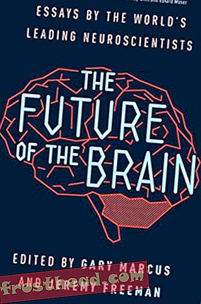 članci, inovacije, zdravlje i medicina, časopis, znanost, um i tijelo - Kako prozirna riba može pomoći u dekodiranju mozga