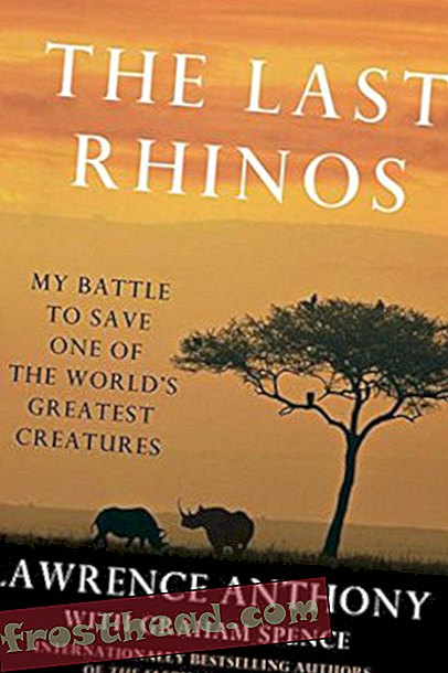 Comment la technologie peut aider à sauver le rhinocéros de l'extinction-articles, innovation, technologie, faune sauvage, science