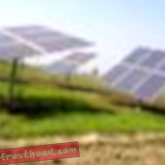 artiklid, innovatsioon, tehnoloogia - Kuidas päikeseenergia saab India põllumehi päästa