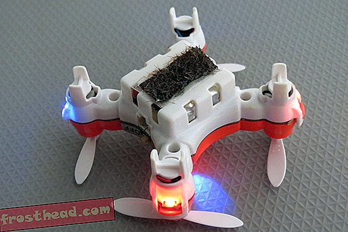Est-ce que ce petit drone couvert de Goy collant pourrait faire le travail des abeilles?