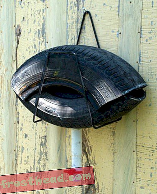 Jak postavit pasti na komáry ze staré pneumatiky