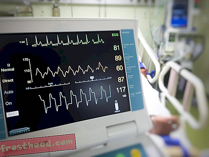 מאמרים, חדשנות, בריאות ורפואה, טכנולוגיה - שימוש בפעימות הלב שלך כסיסמא