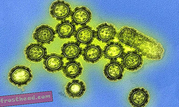 Teadlased on üks samm lähemale “isikupärastatud” gripiproovile