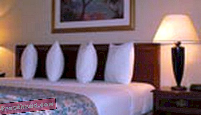 articulos, alojamiento, viajes, americas - DC Deals - Holiday Inn Greenbelt - Alojamiento