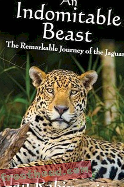 Preview thumbnail for video 'An Indomitable Beast: The Remarkable Journey of the Jaguar