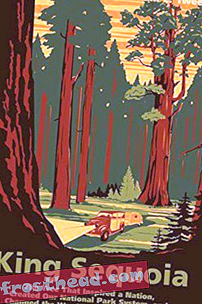 Preview thumbnail for 'King Sequoia: The Tree That Inspired a Nation, Created Our National Park System, and Changed the Way We Think about Nature