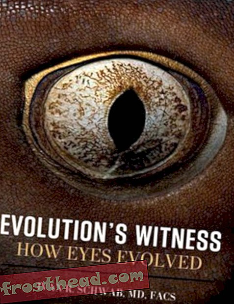 Preview thumbnail for video 'Evolution's Witness: How Eyes Evolved