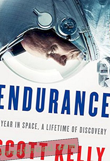 Preview thumbnail for 'Endurance: A Year in Space, A Lifetime of Discovery