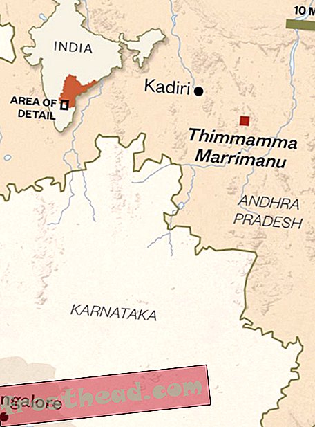 Thimmamma Marrimanu