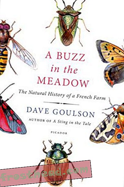 Preview thumbnail for video 'A Buzz in the Meadow: The Natural History of a French Farm