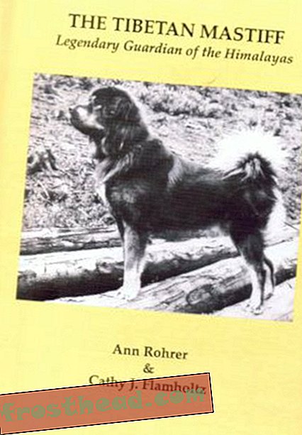 लेख, पत्रिका, विज्ञान, वन्य जीवन - कैसे मास्टिफ दुनिया के शीर्ष कुत्ते बन गए