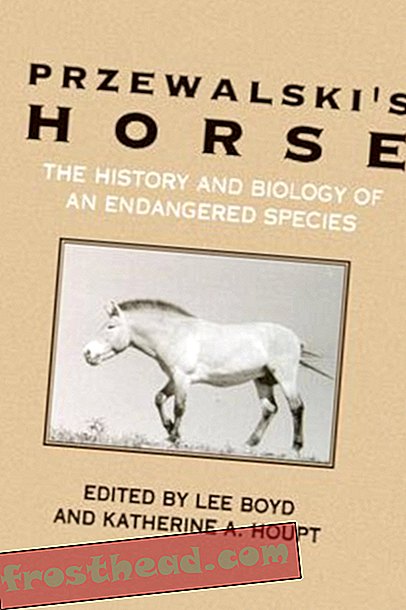 Przewalski hobuse tähelepanuväärne tagasitulek-artiklid, ajakiri, teadus, elusloodus