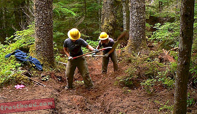 Добровольцы помогают отремонтировать поврежденный след на горе. Ренье Национальный парк, Вашингтон.