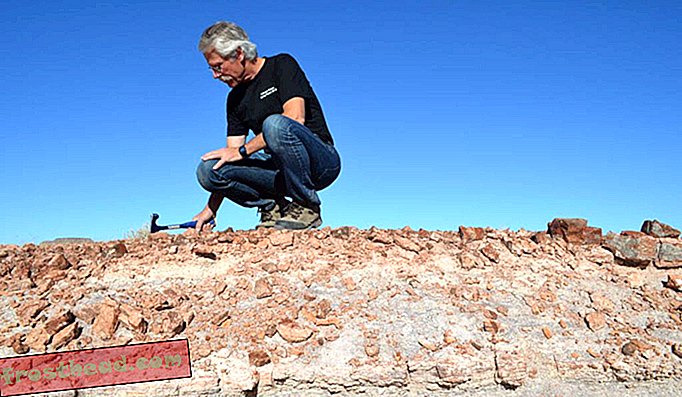Olsen smatra da valovita stijena u blizini dna ove slike - sastavljena od zapetljanih cilindričnih vlakana koje bi mogle biti korijenje drveća ili drugih krhotina - mogu biti ostaci iznenadnog masovnog izumiranja. Moglo bi se uskladiti s dobro zastarelim divovskim meteoritom koji je pogodio današnju južnu Kanadu prije 215, 5 milijuna godina.