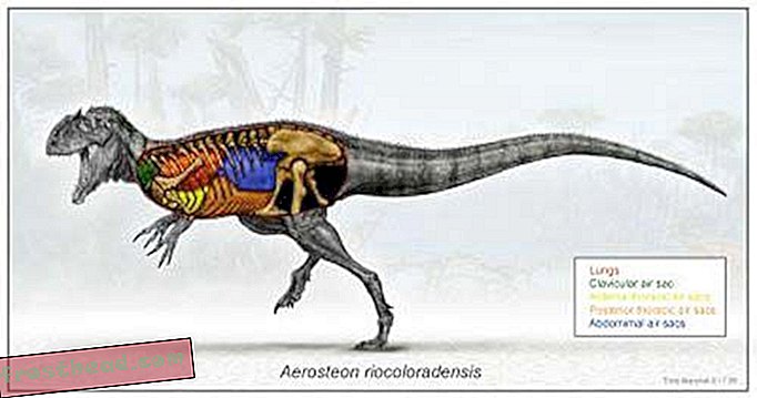 Dinosaure argentin avait des poumons d'oiseau