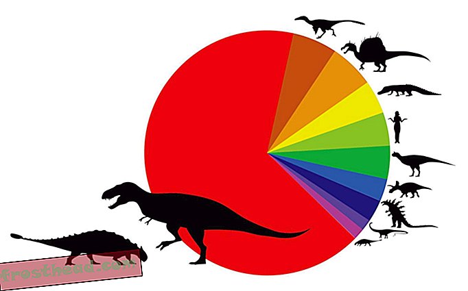 artikelen, wetenschap, dinosaurussen - Helaas is 'Ankylosaur Fight Club' waarschijnlijk wishful thinking