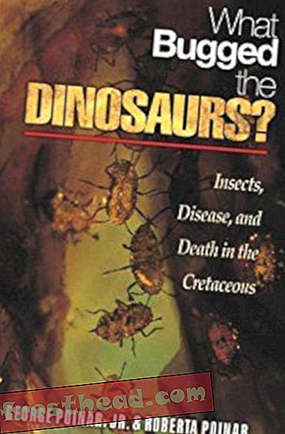 artiklid, teadus, dinosaurused - Kas dinosaurused said vea välja?