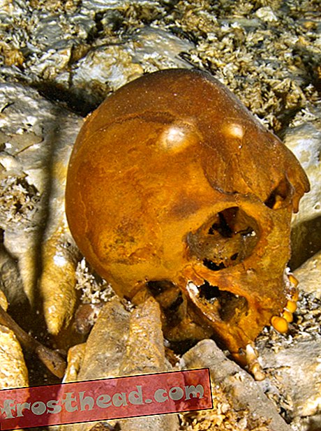 DNA aus dem 12.000 Jahre alten Skelett hilft bei der Beantwortung der Frage: Wer waren die ersten Amerikaner?