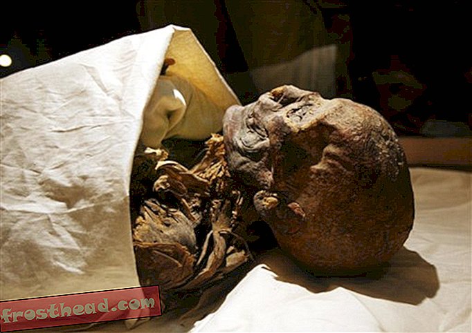 मिस्र की ममी की पहचान पौराणिक हत्शेपसुत के रूप में हुई