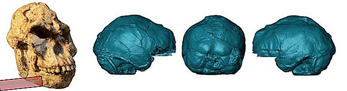 Подробные сканы древнего человеческого черепа показывают структуру мозга и внутреннего уха