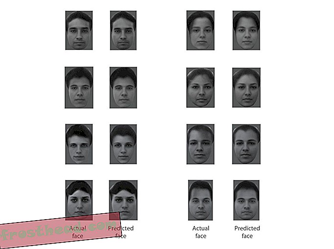 Kuidas teie aju kõiki neid nägusid ära tunneb