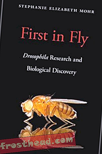 Preview thumbnail for 'First in Fly: Drosophila Research and Biological Discovery