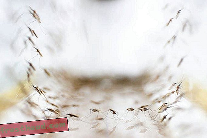 Kas võltsravimid põhjustavad malaaria haigestumist miljonitele aastas?