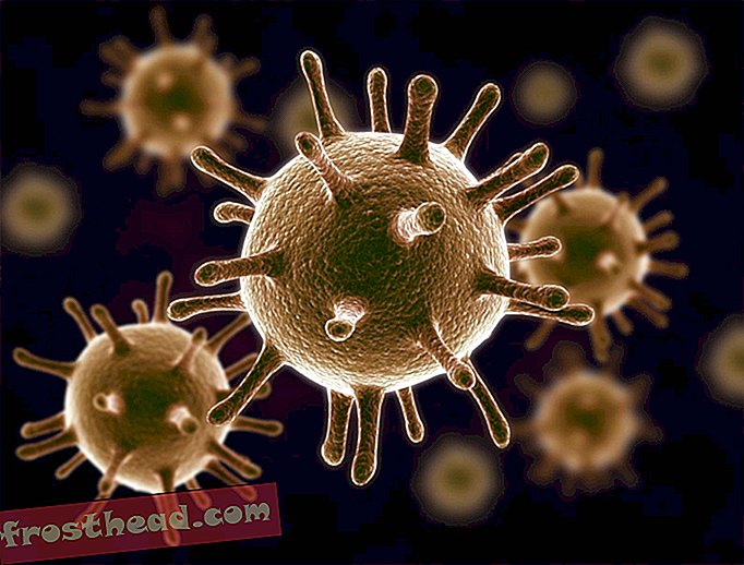 लेख, विज्ञान, मन और शरीर - मानव डीएनए में वायरस जीन, आश्चर्यजनक रूप से, हमें संक्रमण से लड़ने में मदद कर सकते हैं