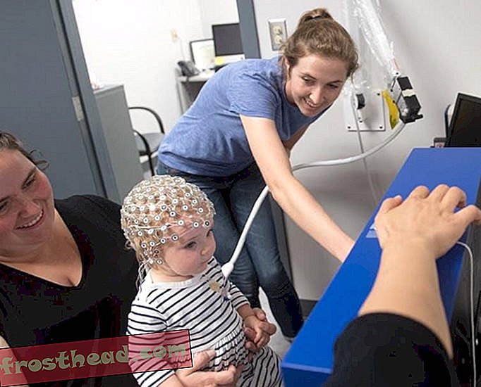מכסי EEG מאפשרים לחוקרים לתעד את פעילות המוח של מתנדבי התינוקות.